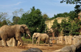 Yagiyama Zoo logical Park