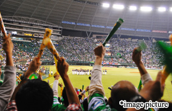 Miyagi Baseball Stadium (Rakuten Seimei Park Miyagi)