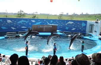 仙台海洋森林水族馆